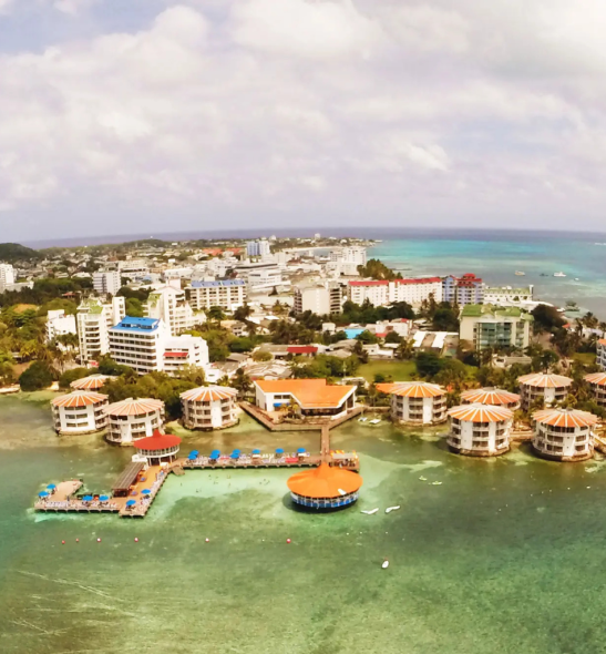 Diseño sin título